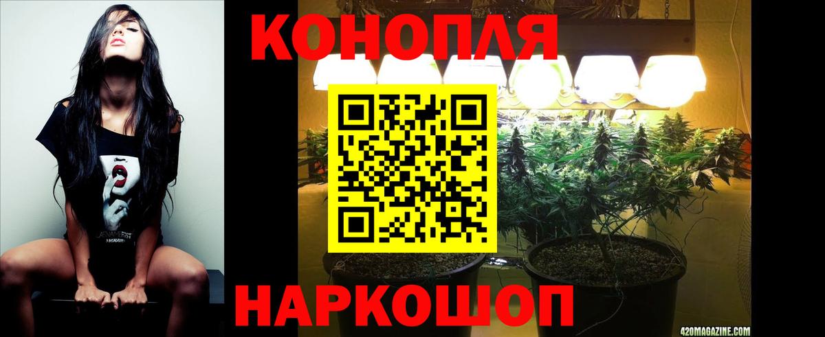 Бошки Шишки сатива  Вход с VPN  Кунгур  Бошки Шишки планчик 